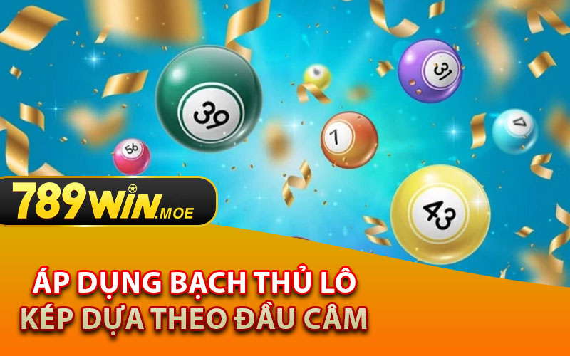 Áp Dụng Bạch Thủ Lô Kép Dựa Theo Đầu Câm