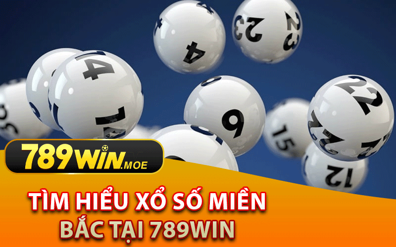 Tìm Hiểu Xổ Số Miền Bắc Tại 789Win